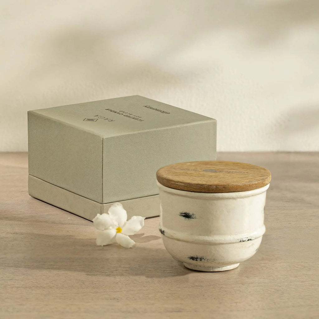 Bougie parfumée à la cire de lavande et vanille en pot de terre cuite (1 mèche)